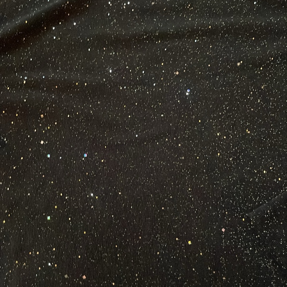 Sheer Glitter Top - Picture 3 of 5